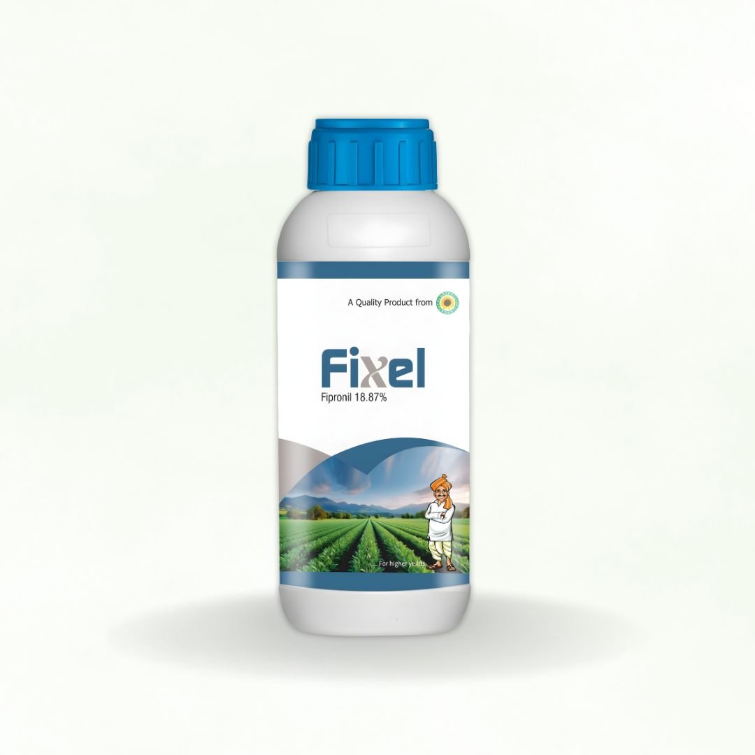 FIXEL