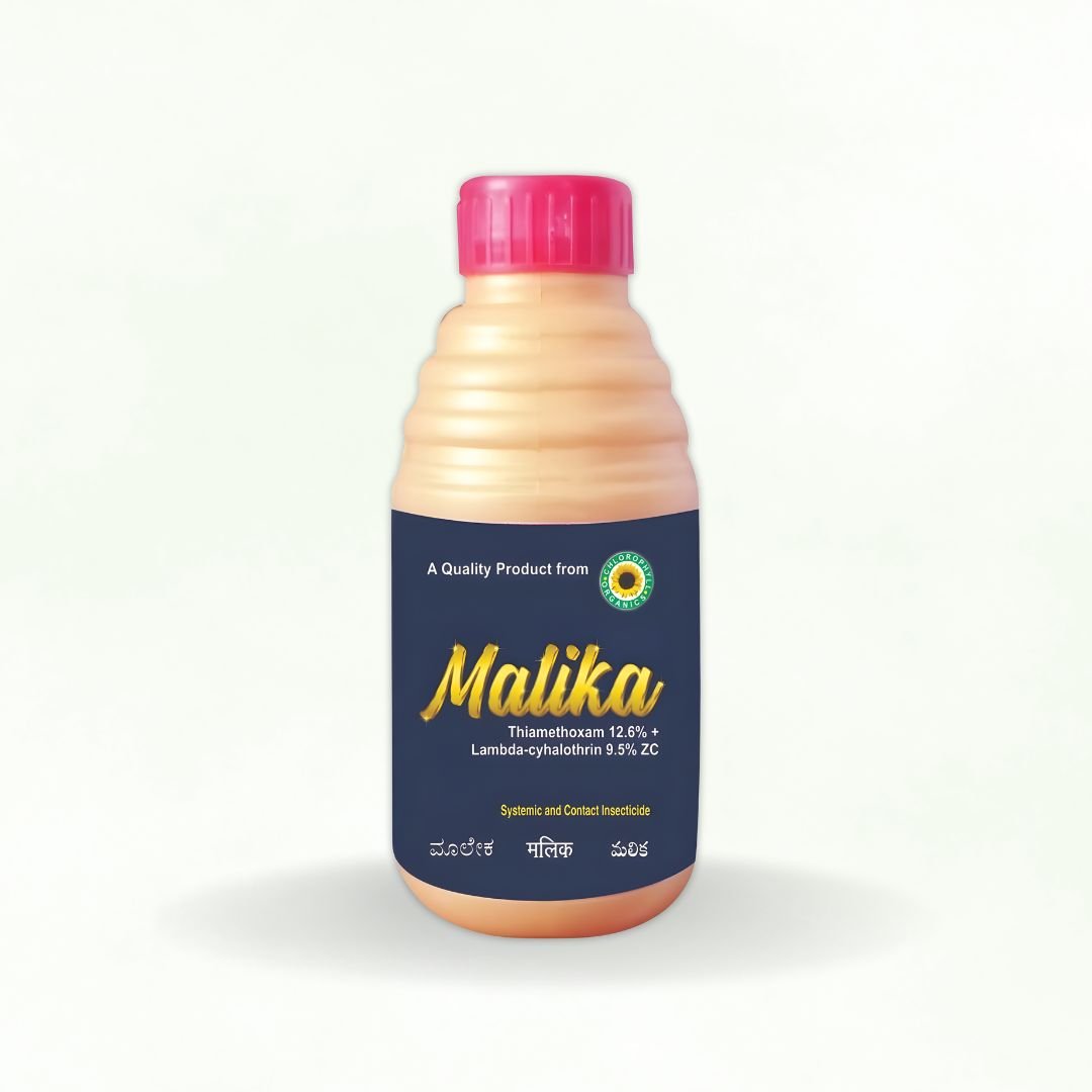 MALIKA
