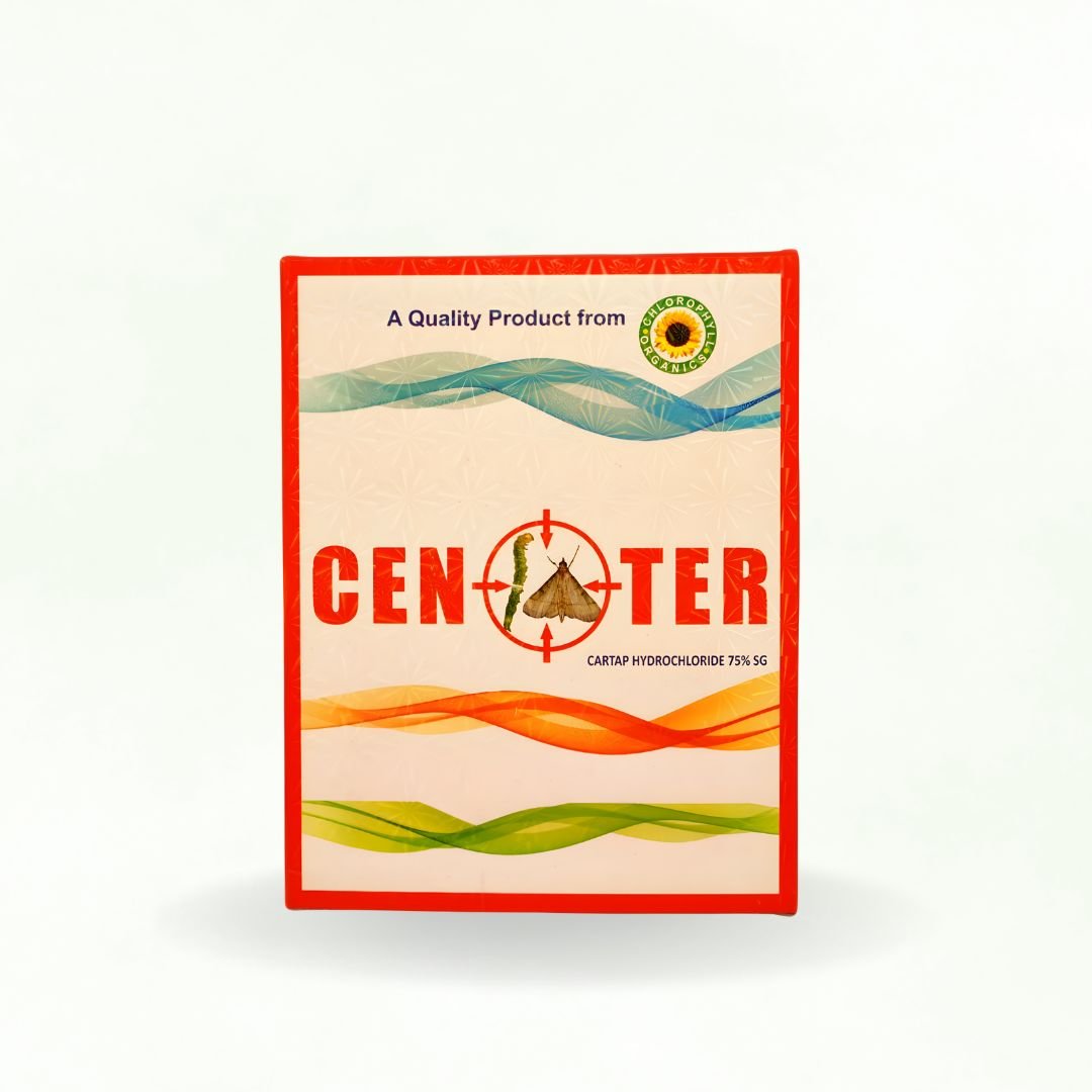 CENTER