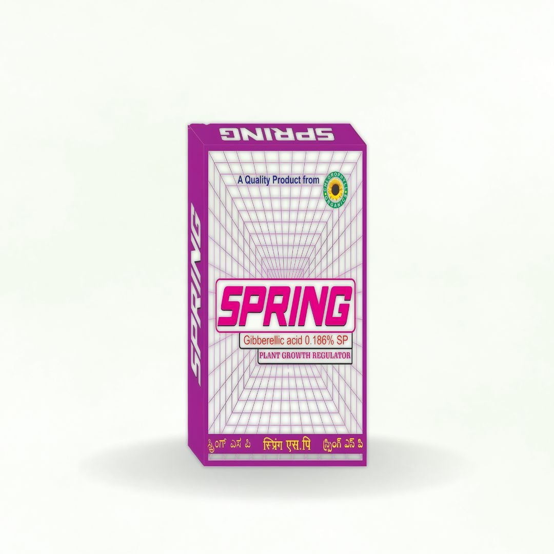 SPRING