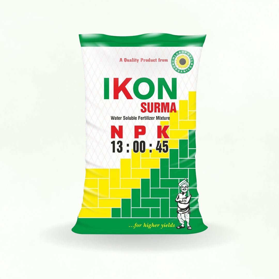 IKON SURMA