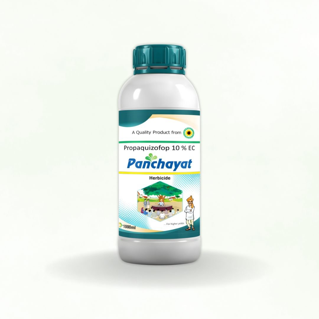 PANCHAYAT