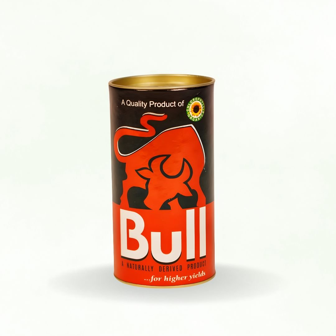 BULL