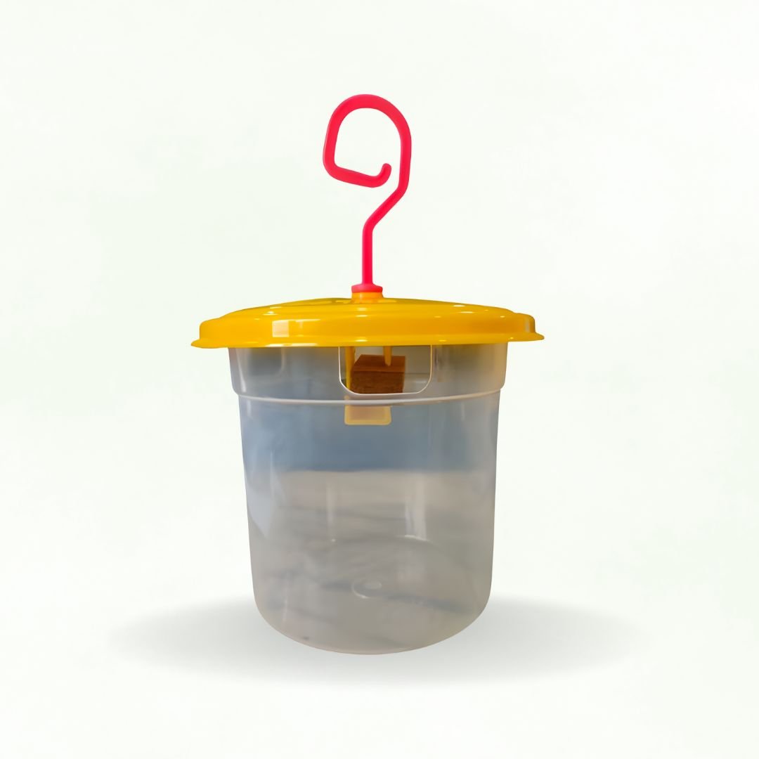 CHLOROPHYLL FLY TRAP