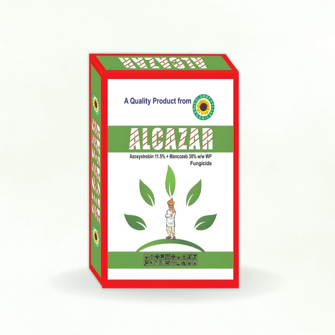 ALCAZAR
